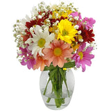 Delicado Mix de Flores Silvestres